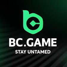 The Ultimate Guide to BC.Game Betting Platform -192705889